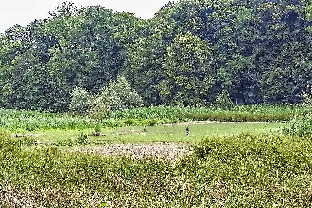 Foto: NABU KR/VIE Michael Müller