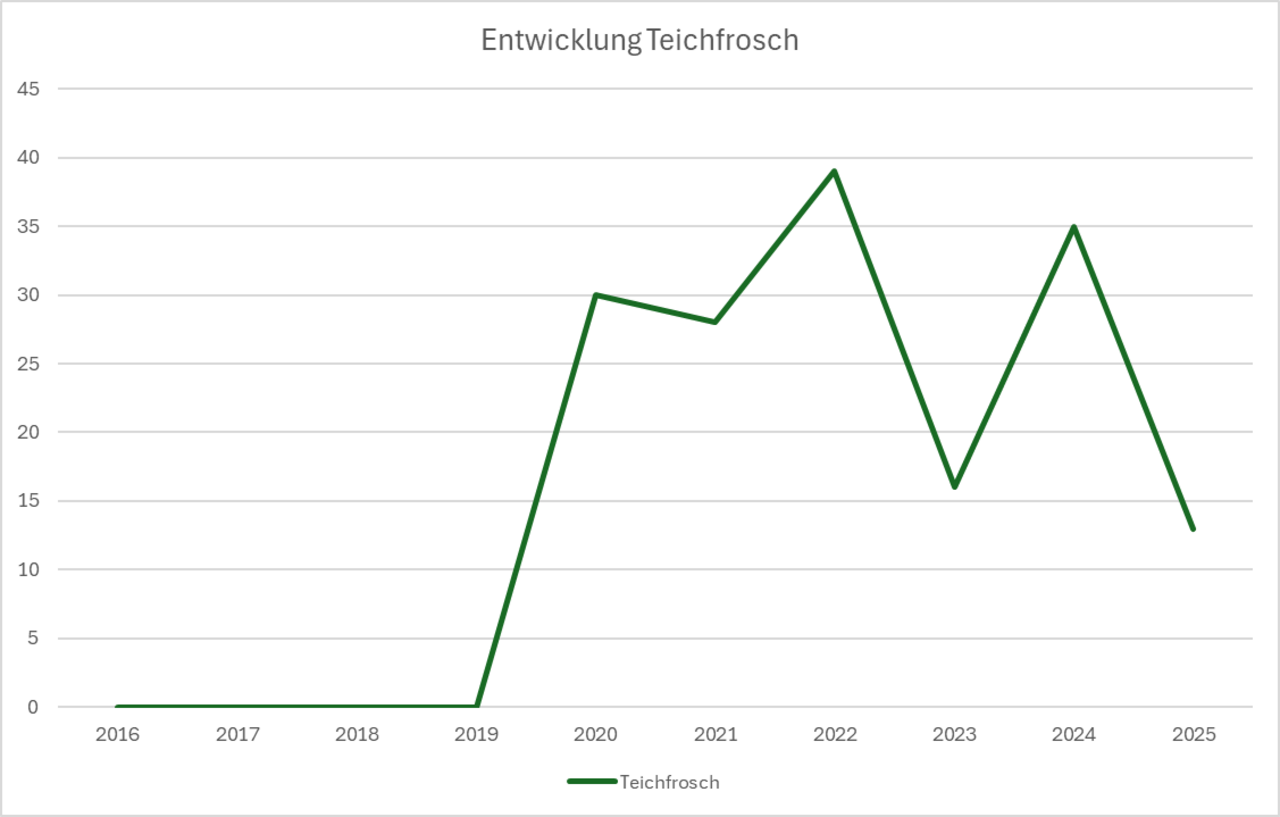 Polulationsentwicklung - Teichfrosch
