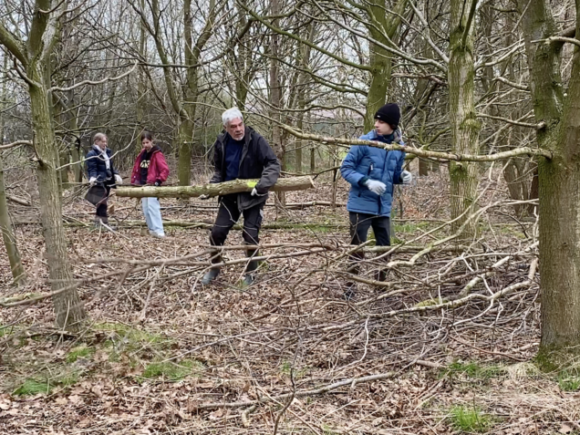 Totholzhecke bauen. Foto: Klaus Keipke