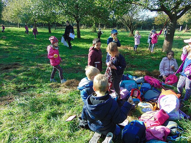 Die ganze Klasse entdeckt die Streuobstwiese.