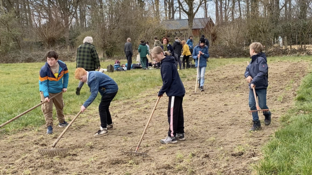 Teamarbeit ist angesagt, jeder Schüler bearbeitet eine Teilfläche mit der Harke um den Boden leicht aufzubrechen. Foto: Klaus Keipke